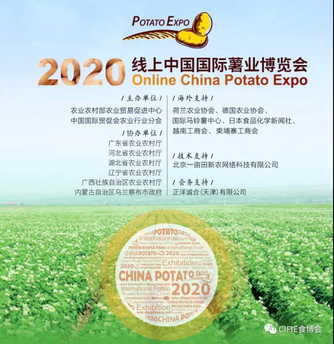 線上薯博會，帶你“云逛館”